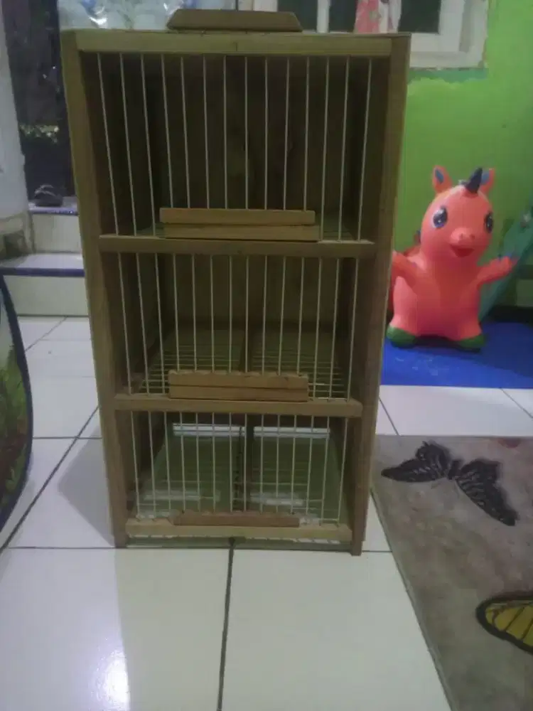 Dondang lepas merpati 3 pintu