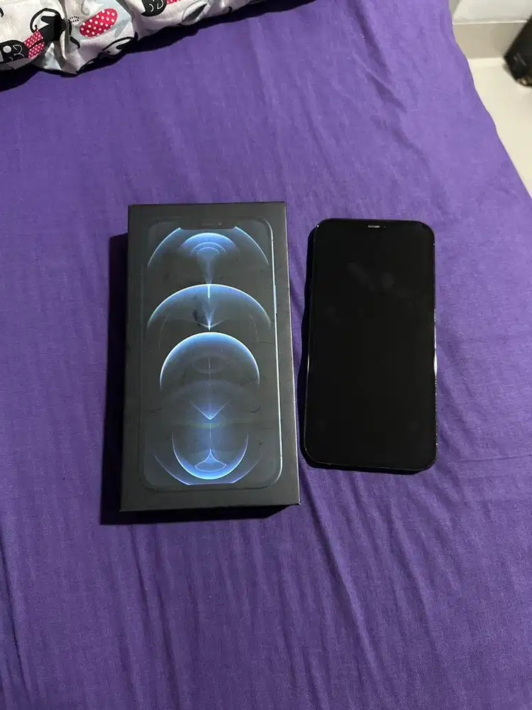 Iphone 12 Pro Max 128 Gb