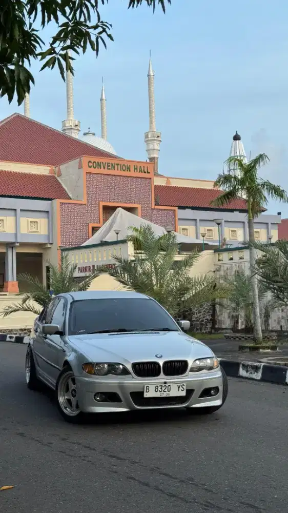 BMW E46 318i N42