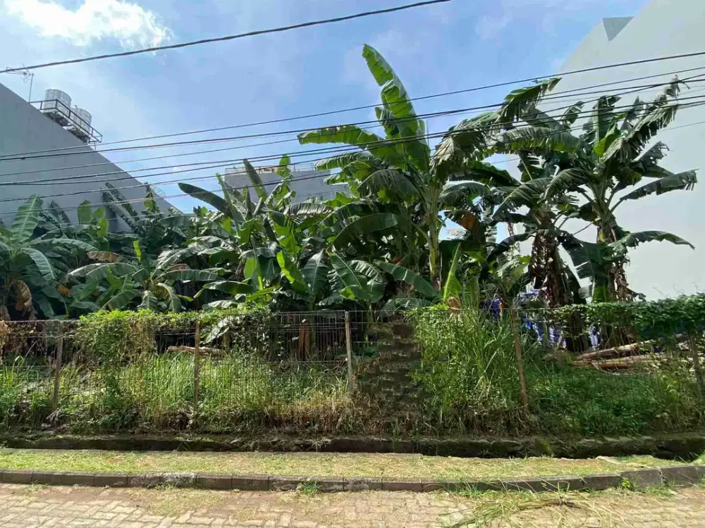 Tanah