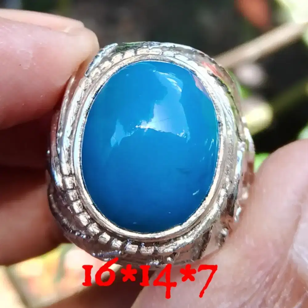 Natural bacan Doko gulau dim 16*14*7 ring alfaka net harga