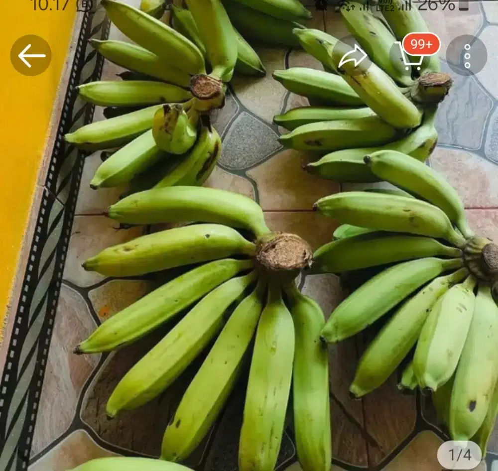 Cari kerja pulang pergi apa aja yg penting halal