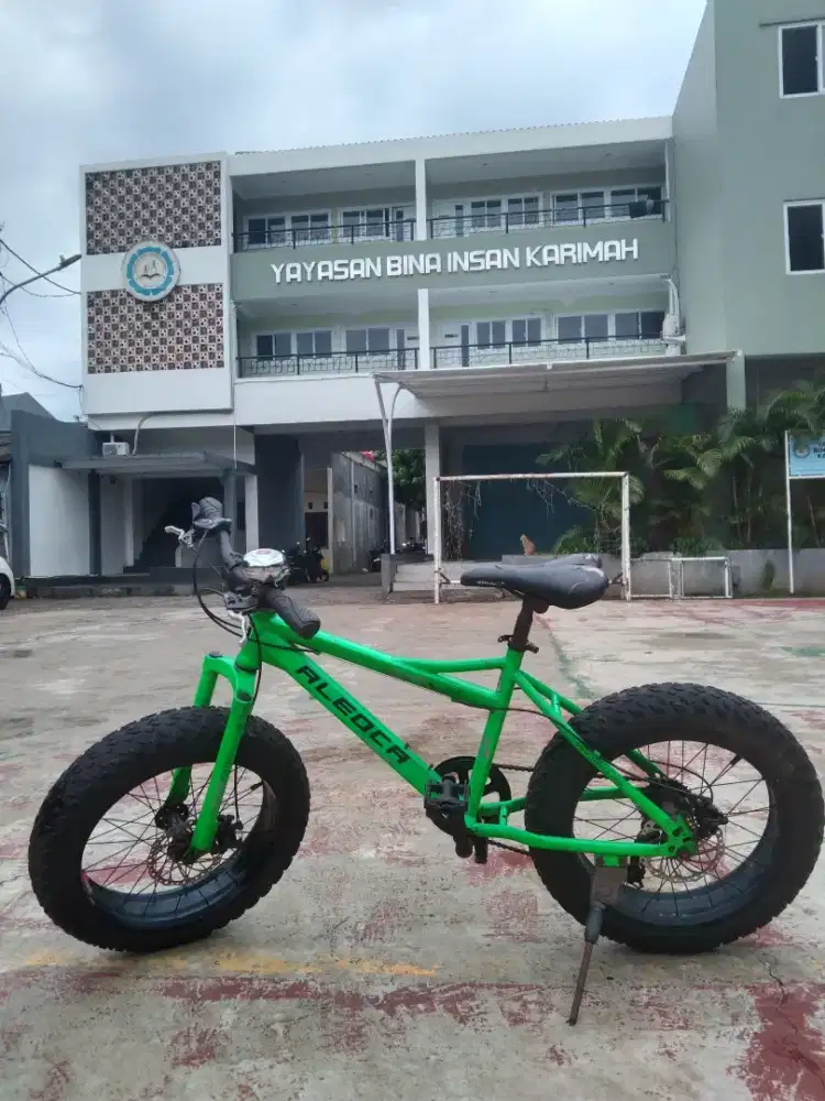 Jual murah sepeda Aleoca ban besar