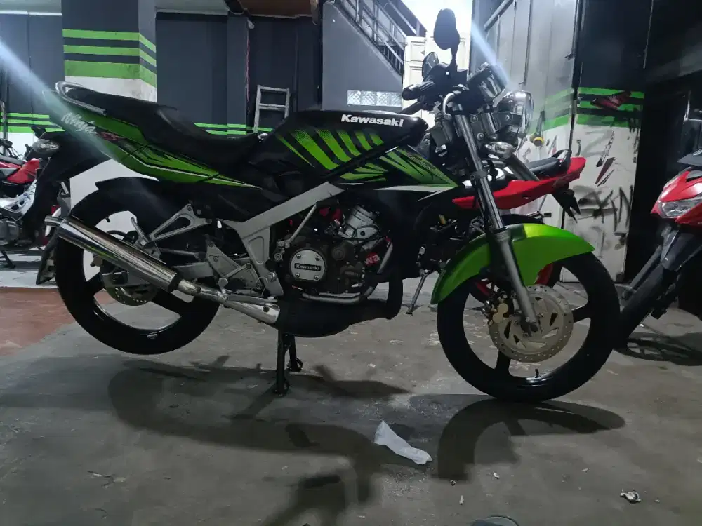 Ninja ss asli zebra
