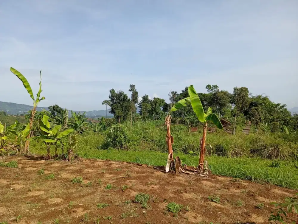 Jual Tanah Murah view mantap pinggir jalan desa