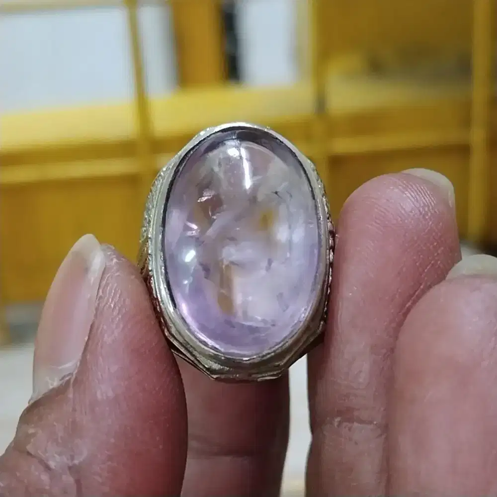 Kecubung bungur btb lampung