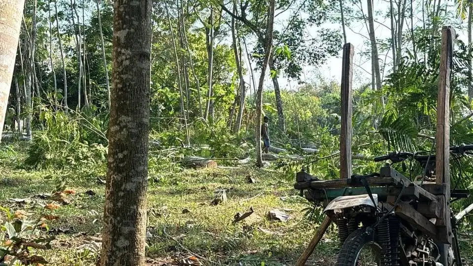 Jual Tanah Patrang Jember