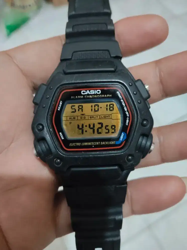 Casio Dw-290 Badak
