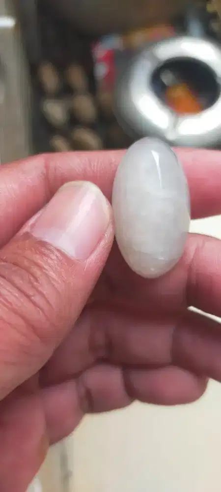 Pandan kapas serat rapet