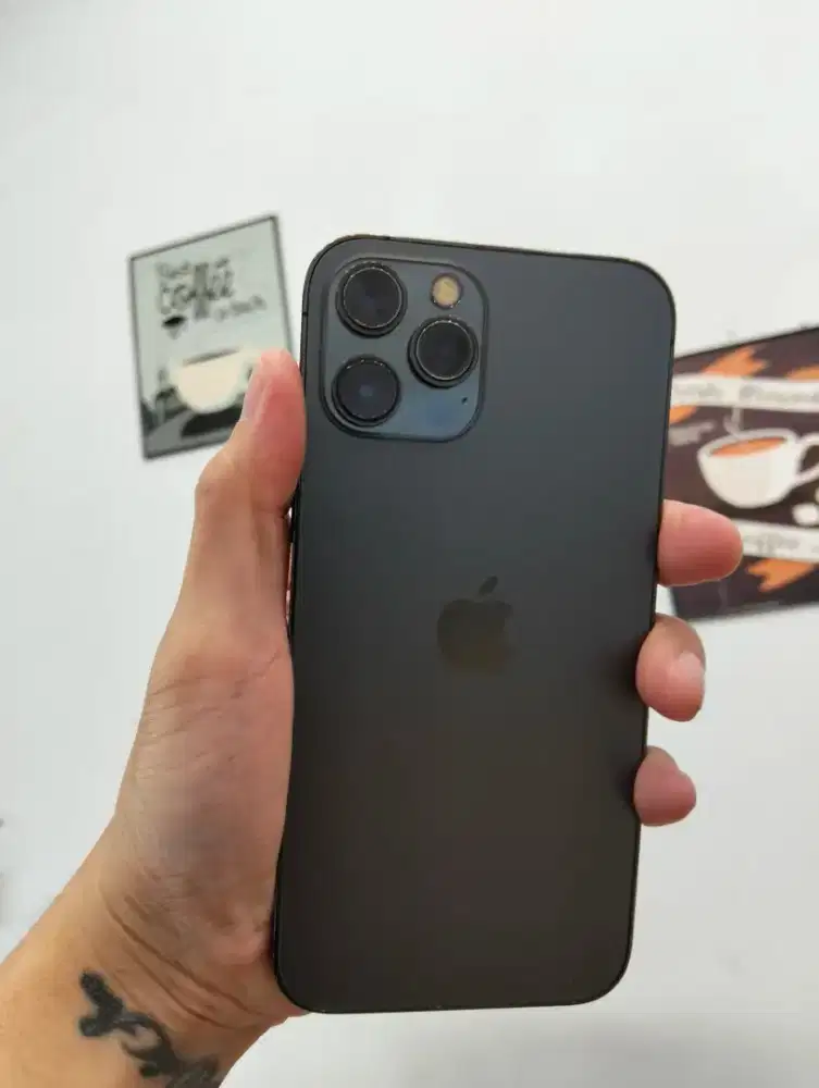 Iphone 12 promax 256 all op