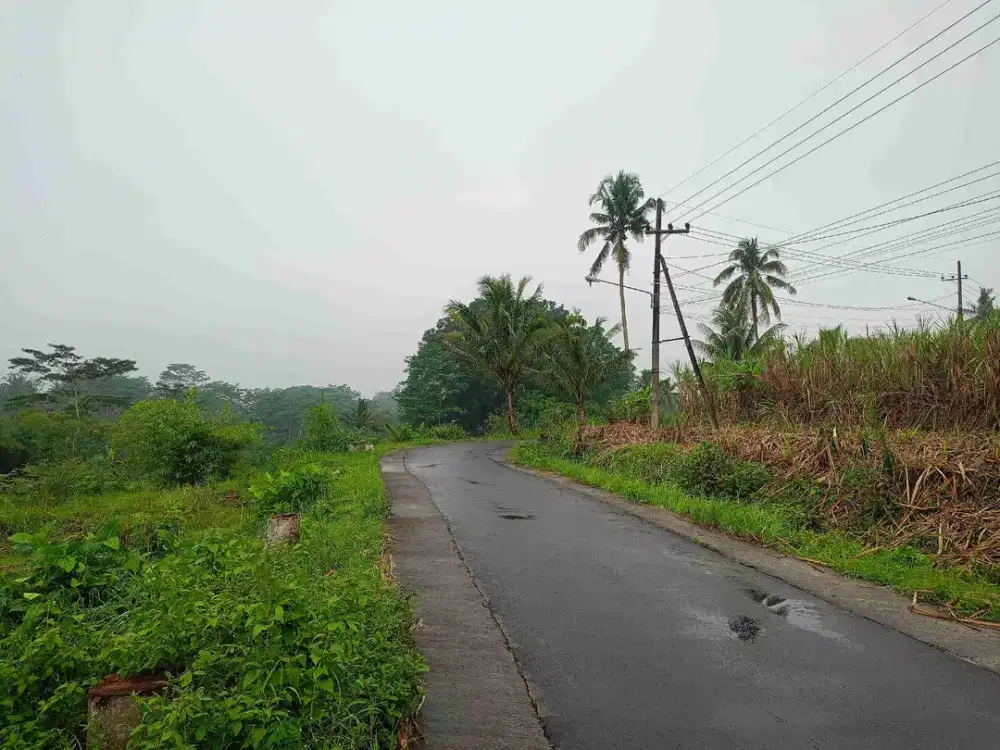 TANAH KEBUN MURAH LOKASI PERMANU PAKISAJI MALANG