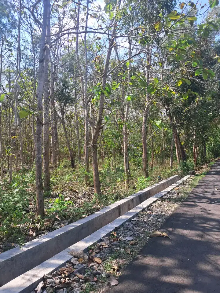Jual tanah pekarang sudah SHM