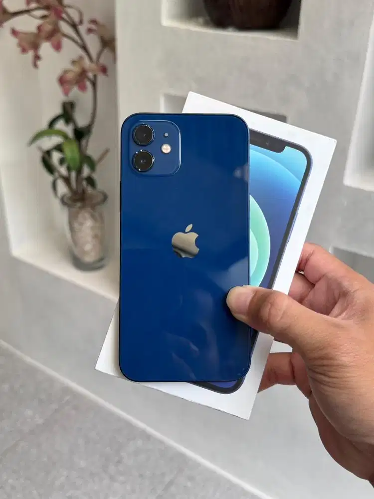 iphone 12 128gb ibox