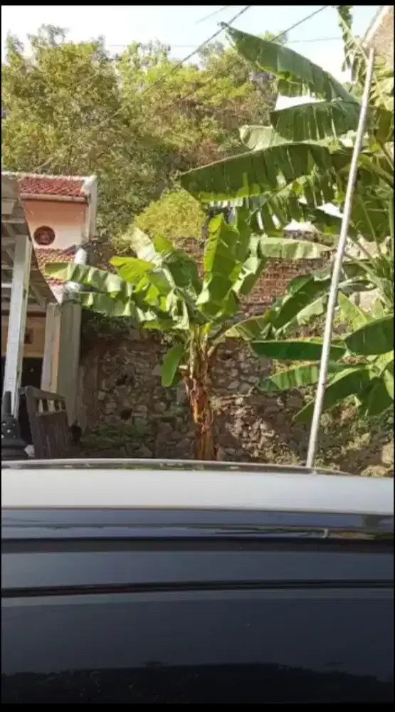Di jual tanah berpondasi