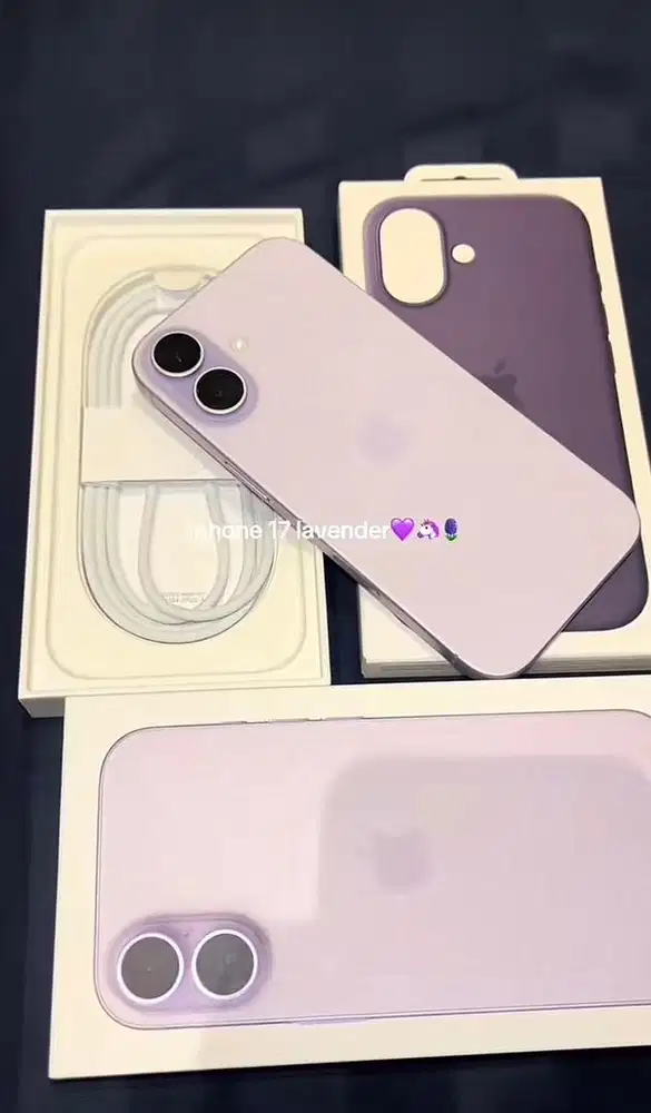 iPhone 17 256GB iBox