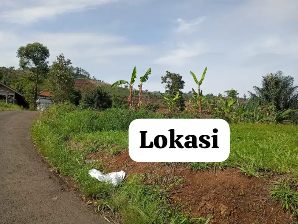 Jual Tanah Murah dan Luas Pinggir jalan desa View Bagus