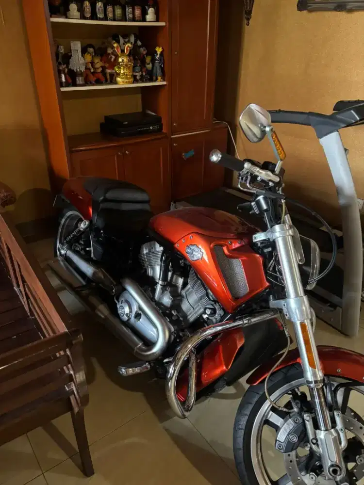 Jual Motor Harlet Davidson VRSCF-VROAD MUSCLE