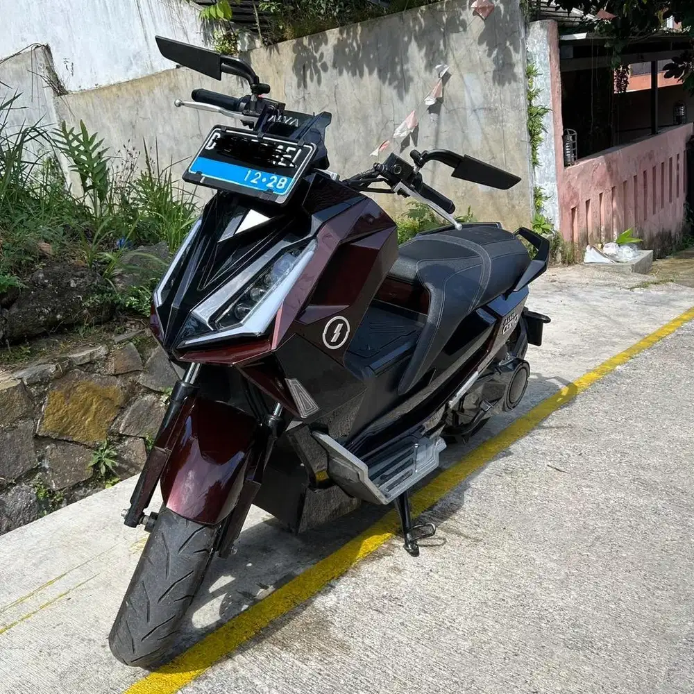 Alva Cervo 2023