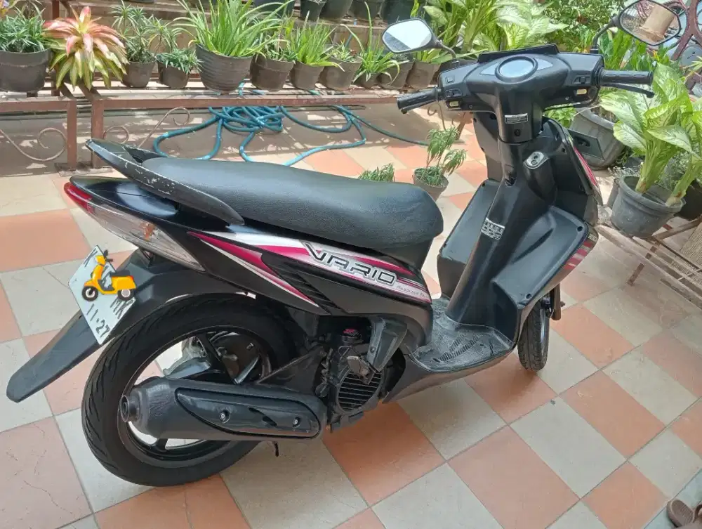 Vario 110 karbu