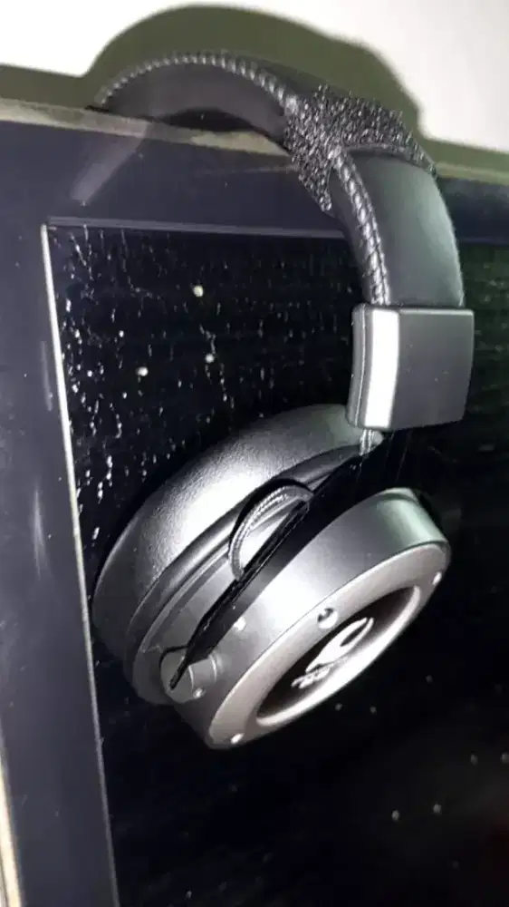 Dolphin sound DS80