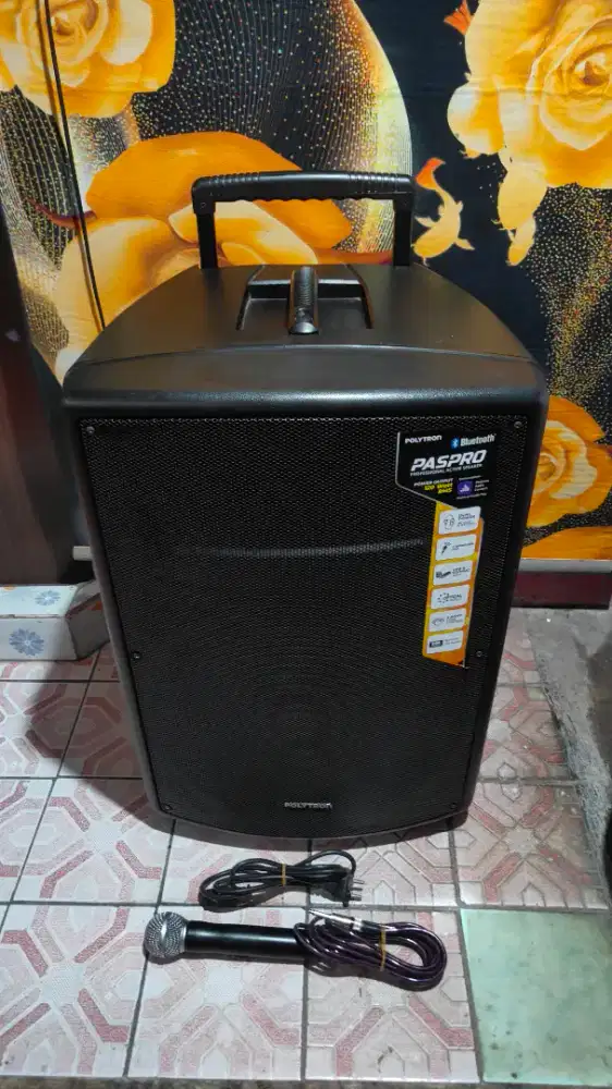 Salon portable polytron paspro15f3