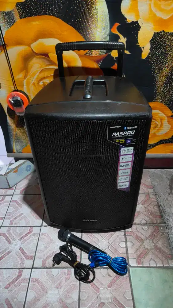 Salon portable polytron paspro12f3