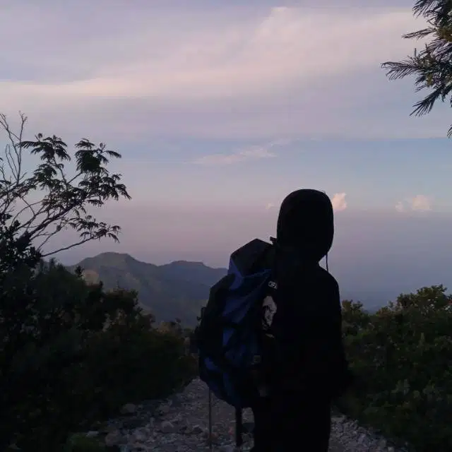 Staf online, lowongan pekerjaan