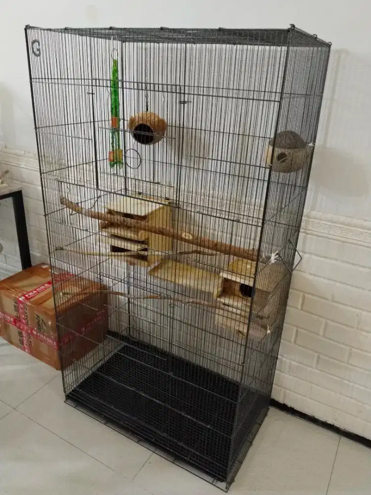 Sangkar burung peliharaan