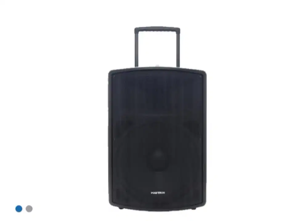 POLYTRON ACTIVE SPEAKER
PASPRO 15F3