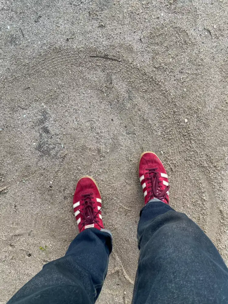 ADIDAS BERMUDA COLLEGIATE BURGUNDY