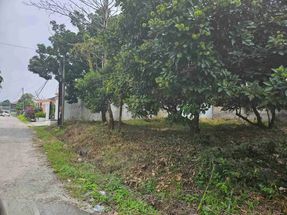 Dijual tanah/Tapak rumah