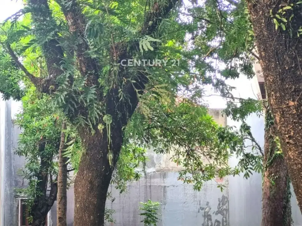 Dijual Cepat Kavling Puri Bintaro 8008