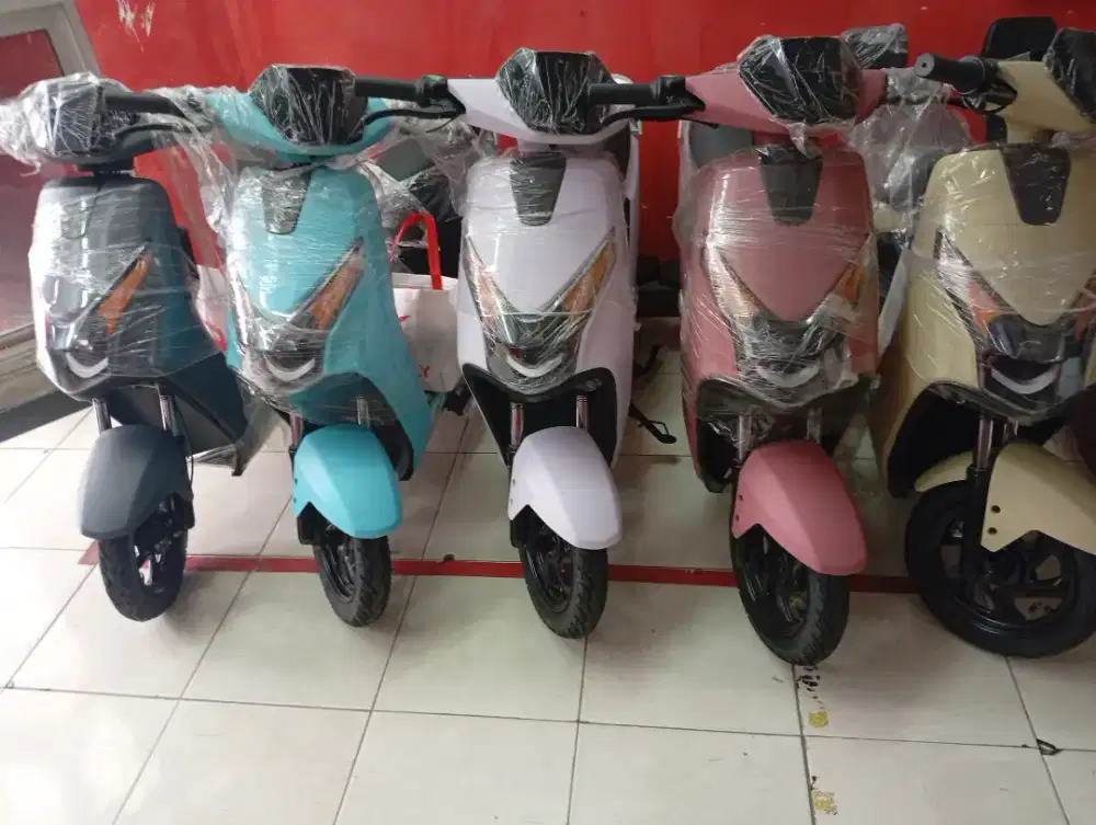 Sepeda listrik D65