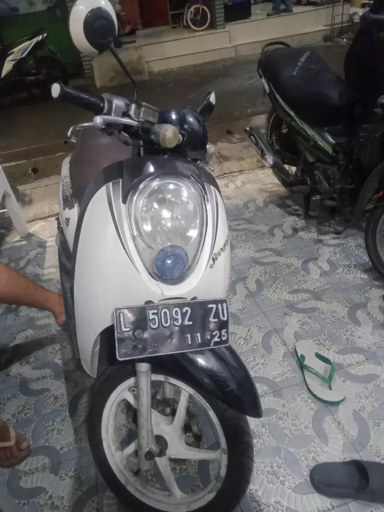 HONDA SCOOPY 2010