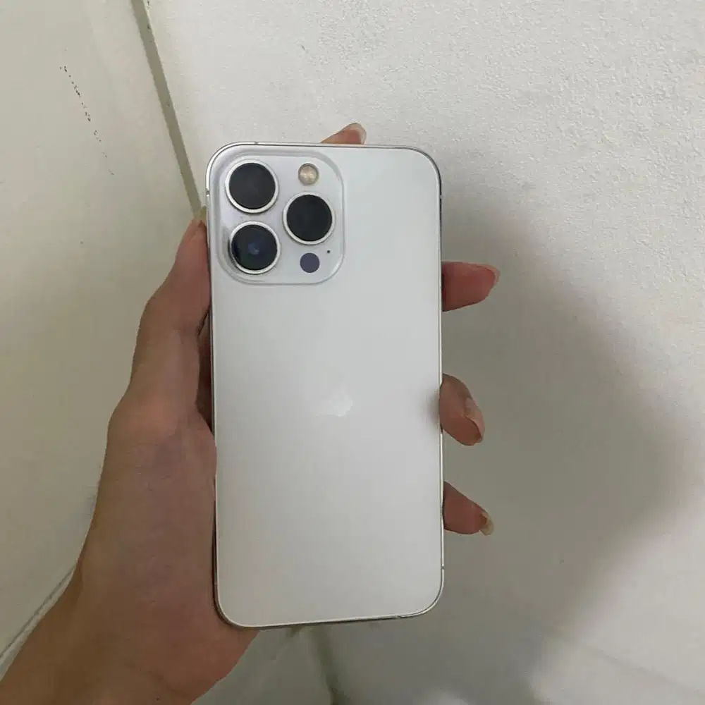 iPhone 13 Pro 256 beacukai