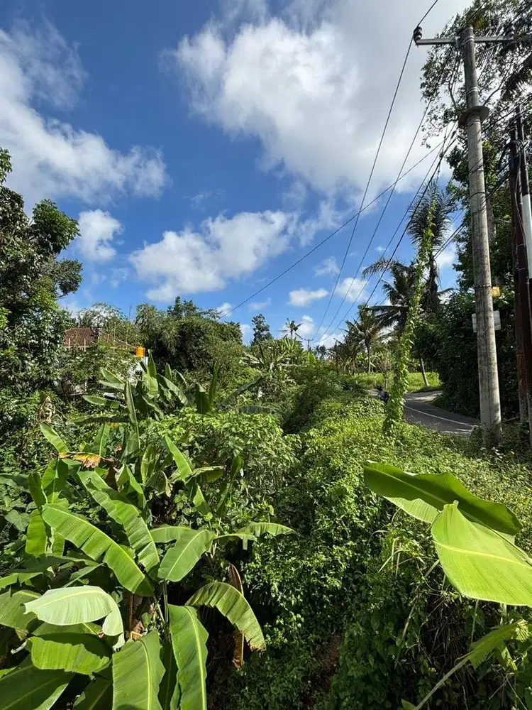 Dijual Tanah Berlokasi Lodtunduh Ubud Gianyar Bali