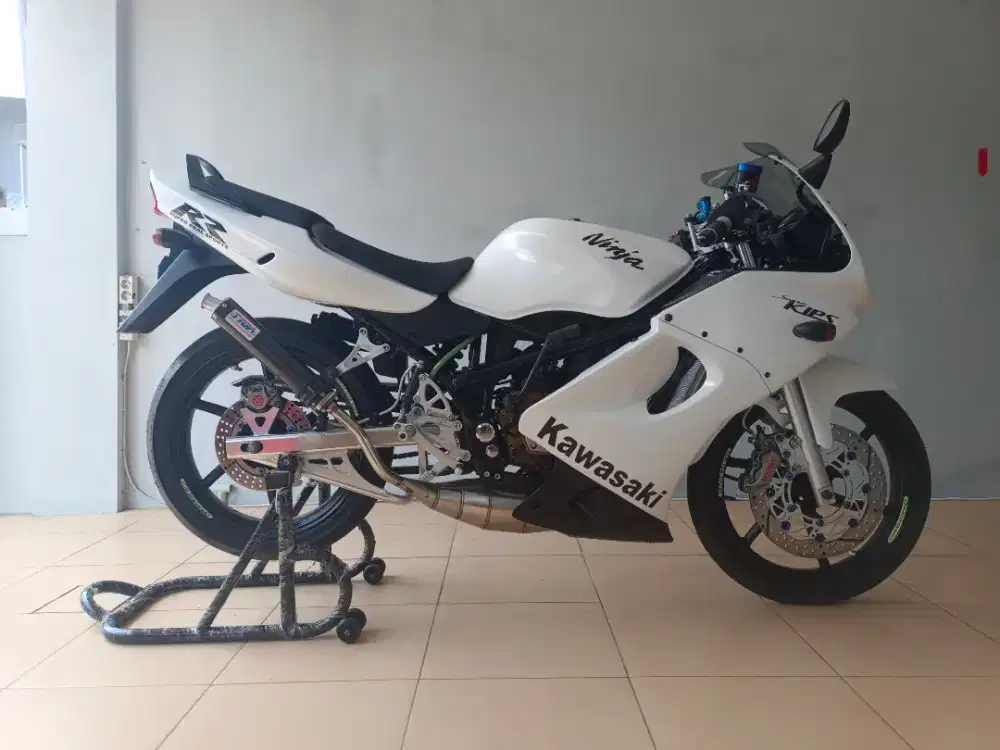 NINJA RR ALBINO