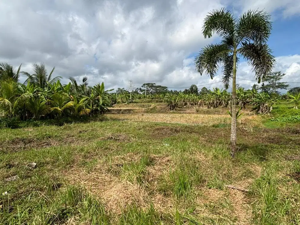 Dijual Tanah Berlokasi Pejeng Jalur Dekat ke Ubud Gianyar Bali
