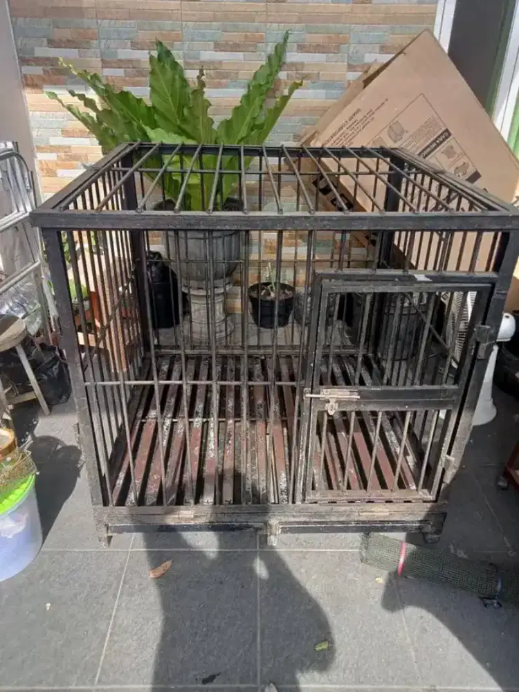 Kandang anjing besar