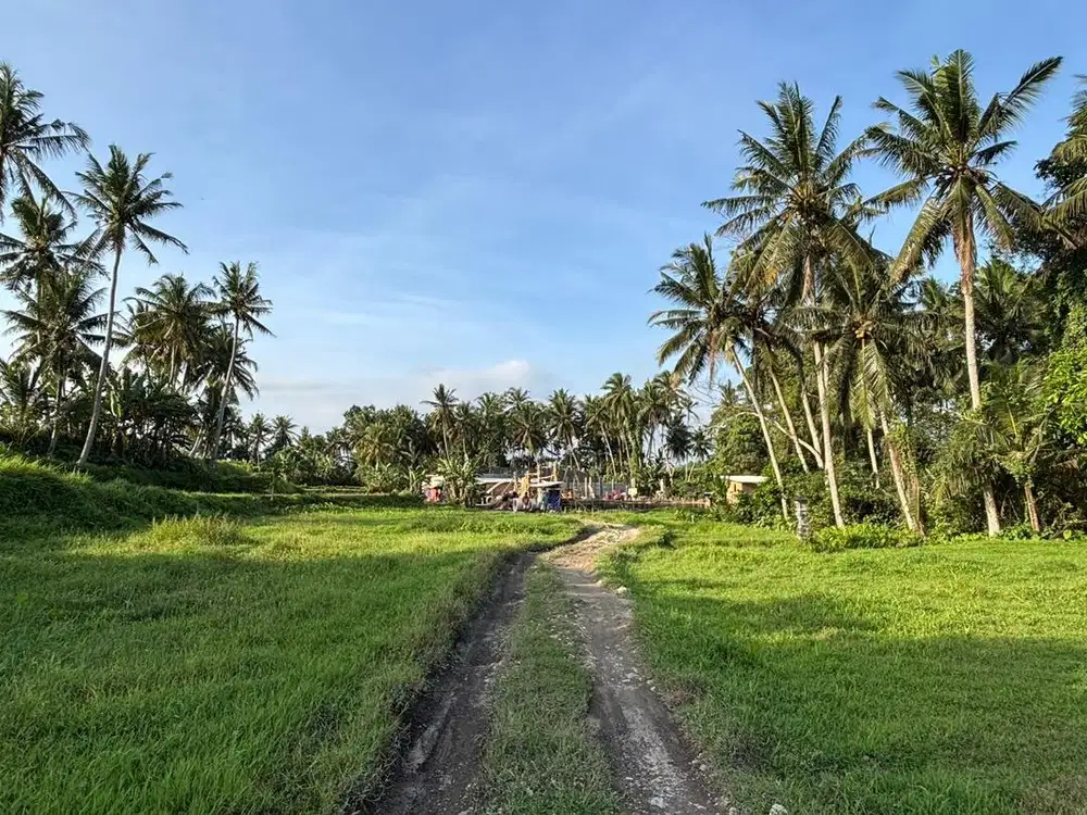 Dijual Tanah Berlokasi di Teges Peliatan Ubud Gianyar Bali