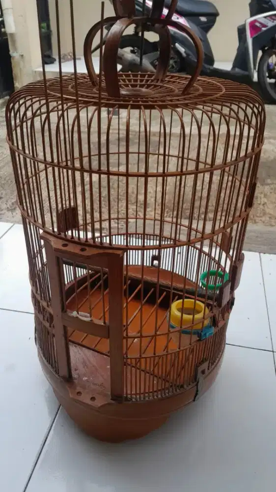 Sangkar anis msh layak pakai