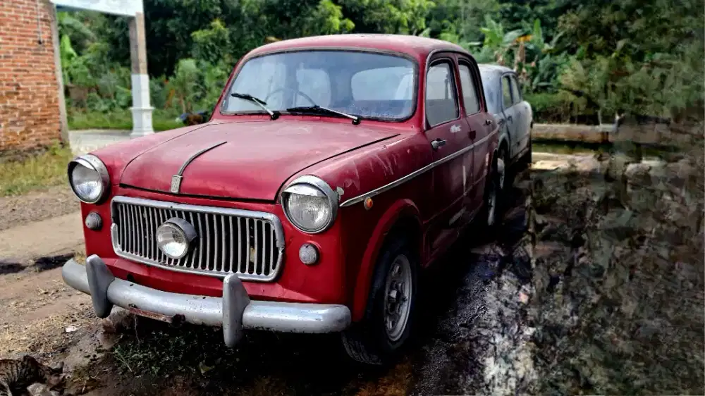 Fiat 1100 suicide door / kupu