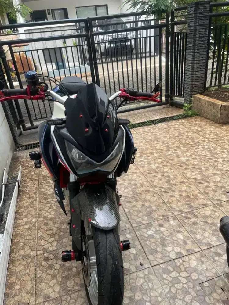 KAWASAKI Ninja Z250