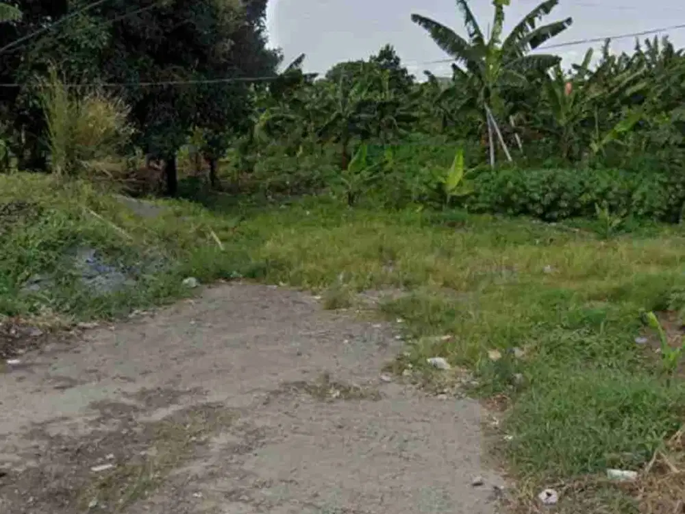 dijual tanah pinggir jalan raya babakan madang sentul