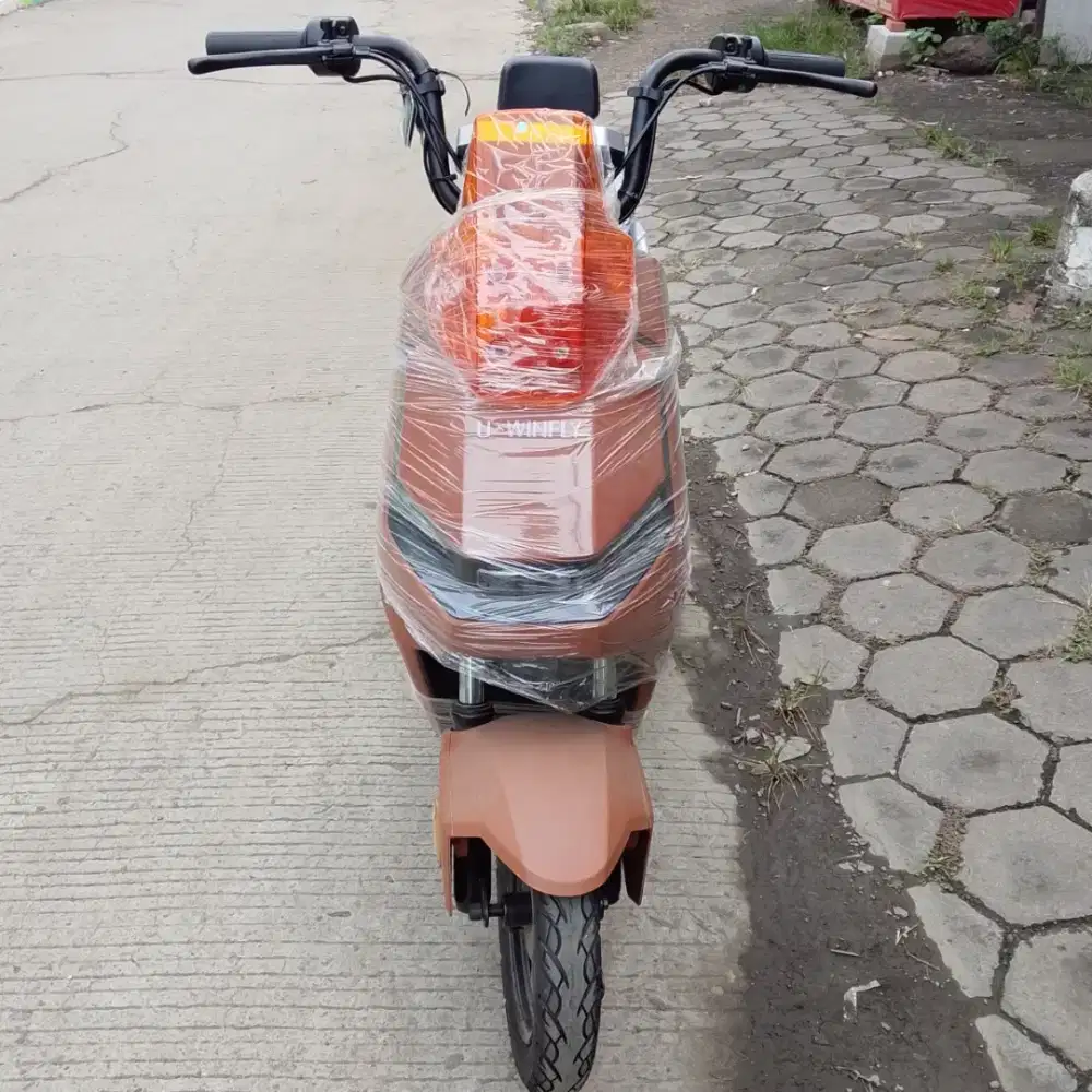 Promo Sepeda Listrik M6L