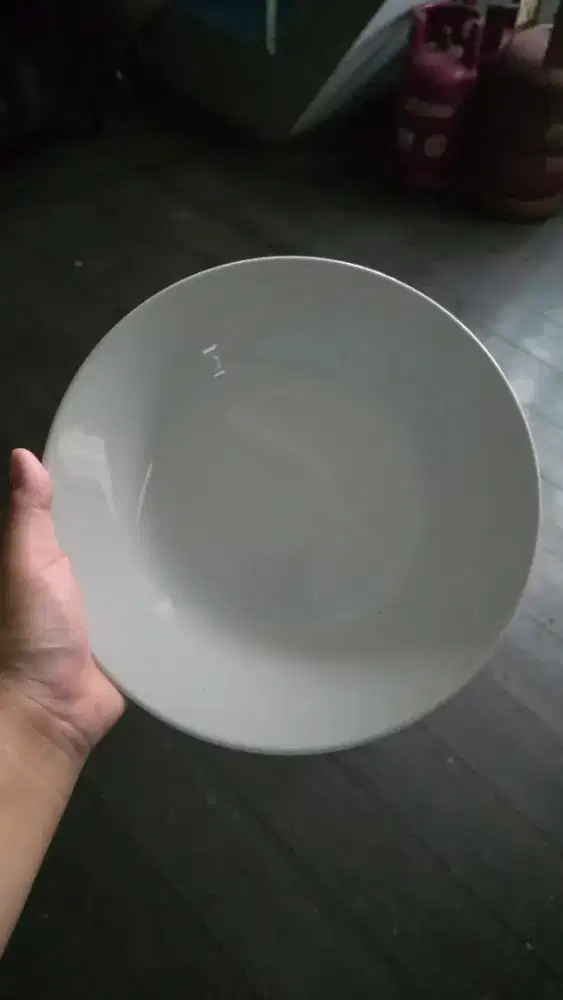 Piring makan porcelain