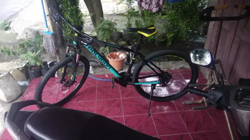 Sepeda Polytron Cascade 4