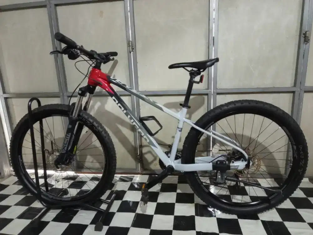 polygon Xtrada 5