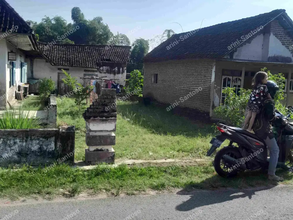 Beli tanah bonus rumah nol jalan