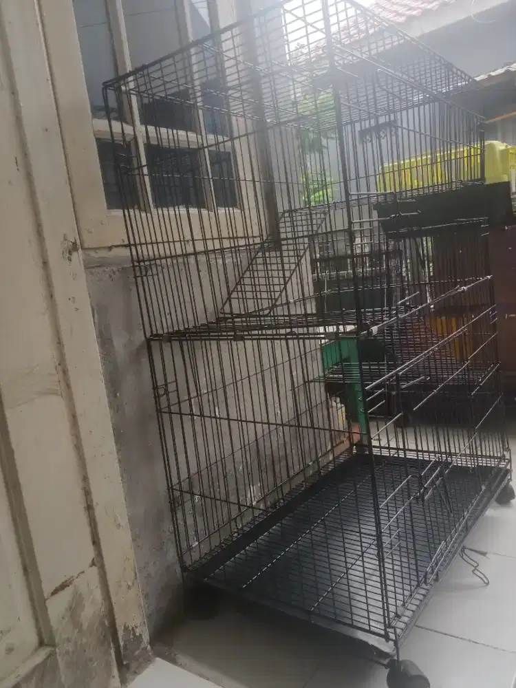 Kandang kucing tingkat besar